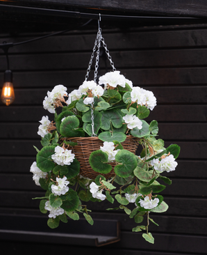 De Kunst begonia Wit in Mand UV 70cm, met weelderige groene bladeren en witte bloemen, hangt aan een metalen ketting voor een donkere houten muur met een gloeiende lamp op de achtergrond.