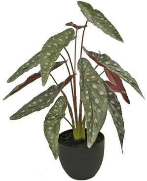 Kunst Begonia 48 cm in sierpot zwart