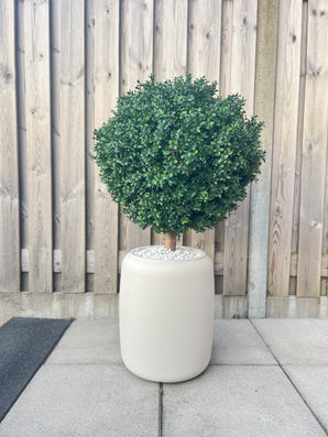 Kunst Buxus op stam d60 cm