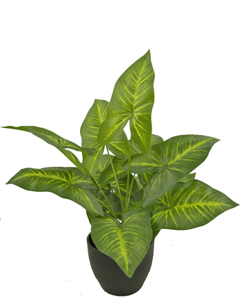 Kunst Dieffenbachia 40 cm in sierpot zwart