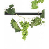 De Kunst Druiven guirlande brandvertragend 186 cm heeft groene druiventrossen en bladeren gedrapeerd over een zwarte paal, waardoor een opvallende kunstplant decoratie ontstaat die afsteekt tegen een witte achtergrond.