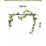 De Kunst Druiven guirlande brandvertragend 186 cm is 10 cm hoog, met groene bladeren en druiven. Ideaal als kunstplantdecoratie of brandvertragende slinger. Voorzien van Nederlandse tekst en Easyplants Kunstplanten logo onderaan.