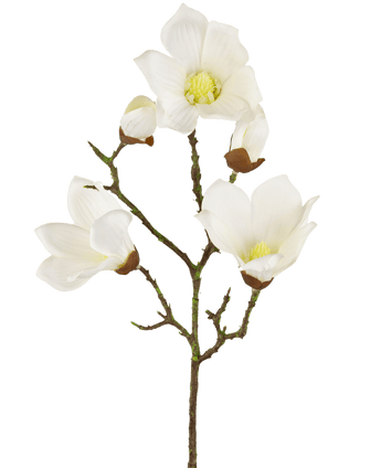 Kunst Magnolia Real Touch Wit 72cm