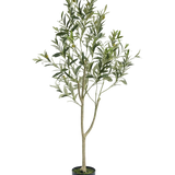 De Kunst Olijfboom 120 cm heeft slanke takken en groene bladeren in een eenvoudige zwarte pot, ideaal als decoratief element voor een mediterrane sfeer op een witte achtergrond.