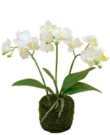 Kunst Orchidee 32 cm wit