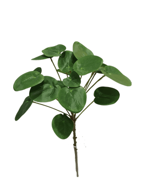 Kunst Pilea Pannenkoekplant 50 cm