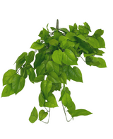 Kunst Pothos Struik Deluxe 90cm