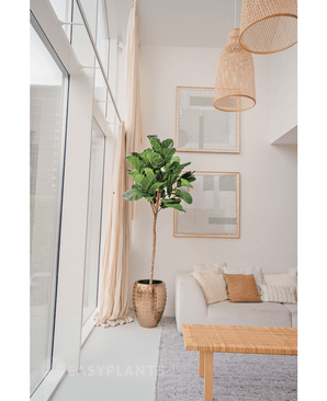 Kunst Tabaksplant Ficus Lyrate 225 cm