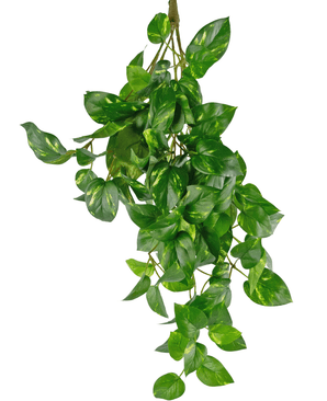 Kunst hangplant Golden Vine Deluxe 60 cm