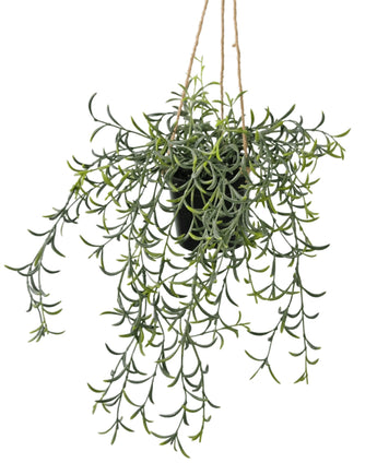 Kunst hangplant Senecio met pot 35 cm