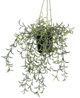 Kunst hangplant Senecio met pot 35 cm