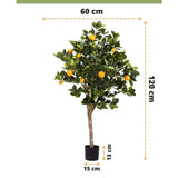 De Kunst sinaasappelboom 120 cm heeft groene bladeren en oranje vruchten, staat in een kleine zwarte pot (13x15 cm), is 60 cm breed en wordt geleverd met Nederlandse tekst en EasyPlants-logo.
