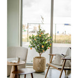 Een Kunst sinaasappelboom 120 cm staat bij een groot raam in een moderne, lichte woonkamer met een beige stoel, houten bijzettafel en een koffiekopje op een schoteltje.