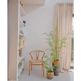 Een minimalistische kamer met een houten stoel naast een hoge boekenplank en twee potplanten, waaronder de Kunst varen plant 140 cm. Beige gordijnen bij een groot raam vullen de ruimte met zacht natuurlijk licht.