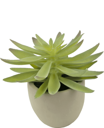 Kunst vetplant 18 cm