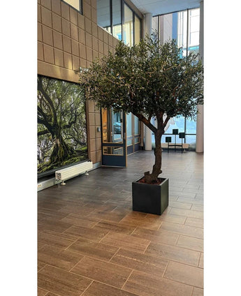 Het kunstwerk ‘Olijfboom zonder olijven’ (270 cm) staat op een betegelde vloer in de moderne lobby, met grote ramen, stoelen op de achtergrond en een boomkunstwerk aan de linkerwand.