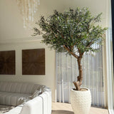 Een Kunst Olijfboom zonder olijven van 270 cm staat naast een groot raam in een lichte, moderne woonkamer met een witte, gebogen bank, twee kunstwerken aan de muur, vitrage en een decoratieve kroonluchter. Dit onderhoudsvriendelijke accent zorgt voor weelderig groen zonder het gedoe van dagelijks onderhoud.
