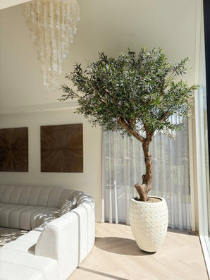 Een Kunst Olijfboom zonder olijven van 270 cm staat naast een groot raam in een lichte, moderne woonkamer met een witte, gebogen bank, twee kunstwerken aan de muur, vitrage en een decoratieve kroonluchter. Dit onderhoudsvriendelijke accent zorgt voor weelderig groen zonder het gedoe van dagelijks onderhoud.