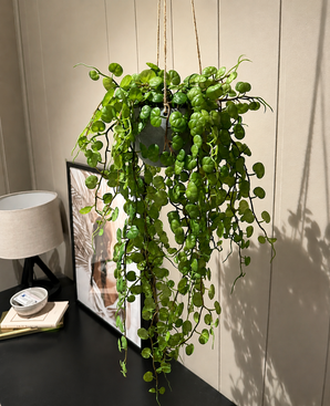 kunst hangplant vetplant in pot van hoge kwaliteit