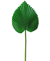 Kunstblad 81 cm
