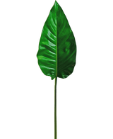 Kunstblad Alocasia 76cm