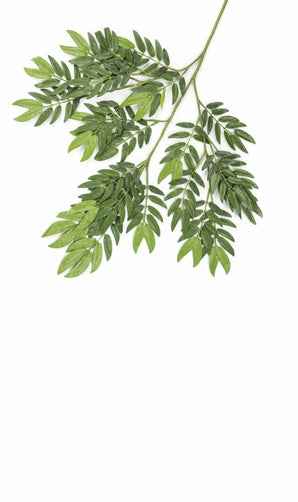 Kunstblad Ming Aralia 50 cm groen brandvertragend