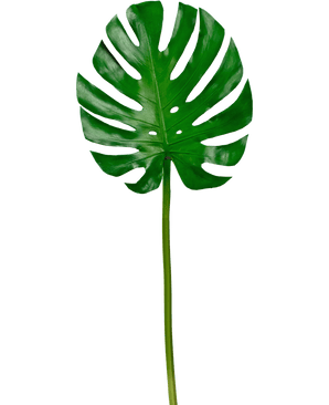 Kunstblad Monstera 88cm