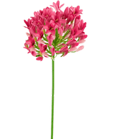 Kunstbloem Agapanthus 77 cm roze