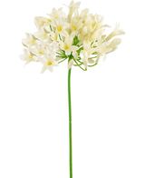 Kunstbloem Agapanthus 77 cm wit