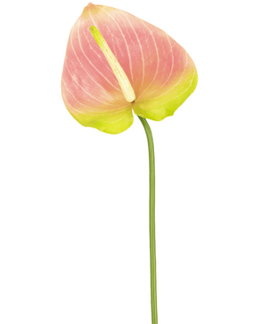 Kunstbloem Anthurium 68 cm groen/roze