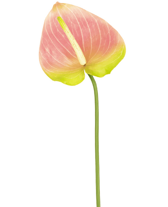 Kunstbloem Anthurium 68 cm groen/roze