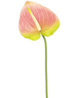 Kunstbloem Anthurium 68 cm groen/roze