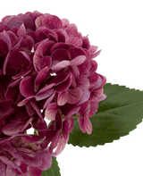 Kunstbloem Charlotte hortensia Real Touch Paars 49 cm
