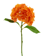 Kunstbloem Charlotte hortensia Real Touch oranje 49 cm
