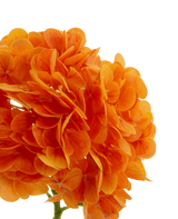 Kunstbloem Charlotte hortensia Real Touch oranje 49 cm