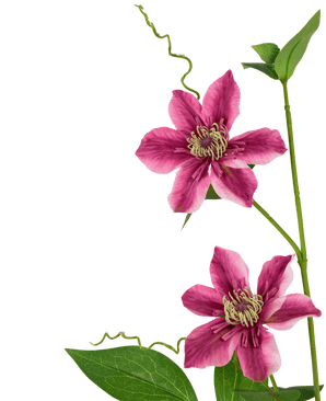 Kunstbloem Clematis dubbel 78 cm paars