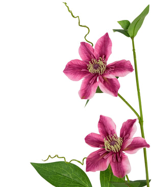 Kunstbloem Clematis dubbel 78 cm paars