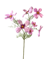 Kunstbloem Cosmos 74 cm roze