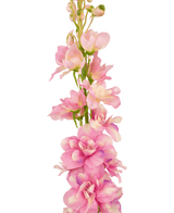 Kunstbloem Delphinium 79 cm roze