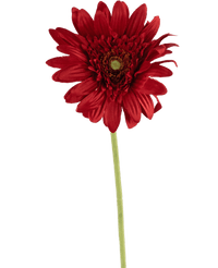 Kunstbloem Gerbera 53 cm rood