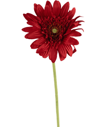 Kunstbloem Gerbera 53 cm rood