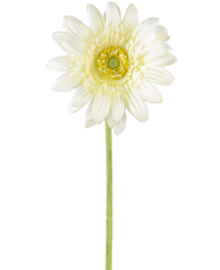 Kunstbloem Gerbera 53 cm wit