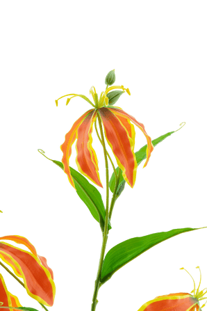 Kunstbloem Gloriosa Real Touch Oranje 75 cm