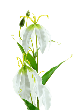 Kunstbloem Gloriosa Real Touch Wit 75 cm