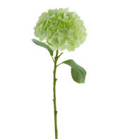 Kunstbloem Hortensia Real Touch Lichtgroen 49 cm