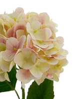 Kunstbloem Hortensia Real Touch Roze 58 cm