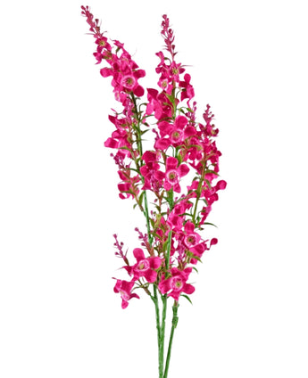 Kunstbloem Kattenkruid 75 cm roze