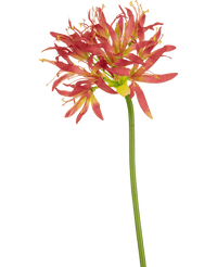 Kunstbloem Nerine 70 cm fuchsia