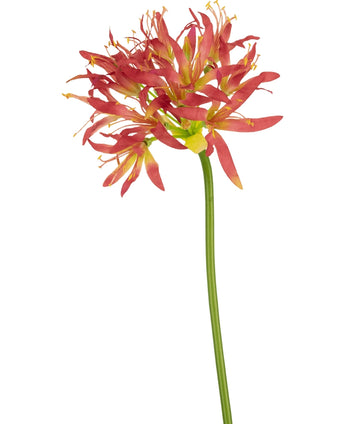 Kunstbloem Nerine 70 cm fuchsia