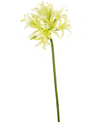 Kunstbloem Nerine 70 cm groen